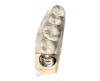 直接来自源头，品质始于细节 - 1